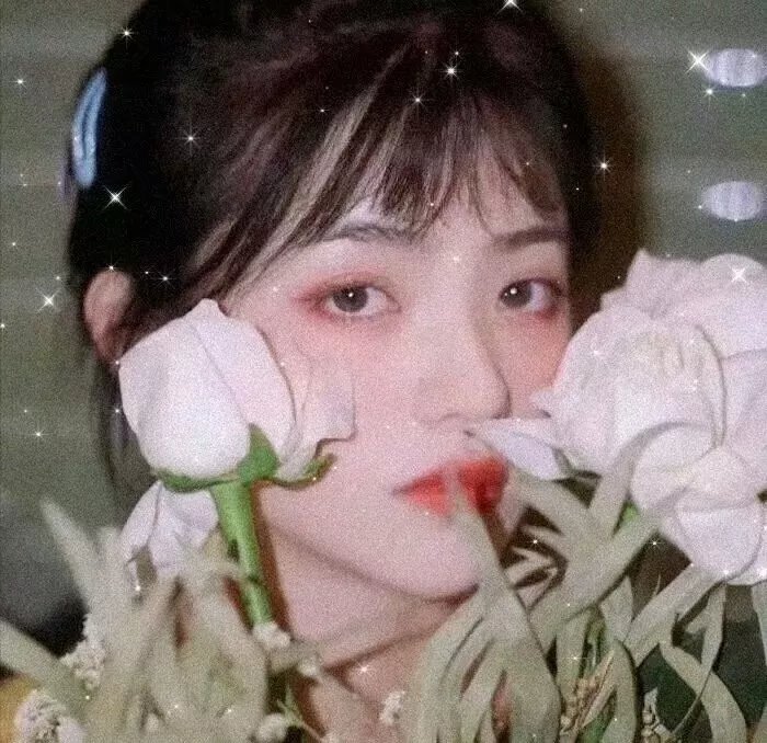 我太受欢迎了该怎么办